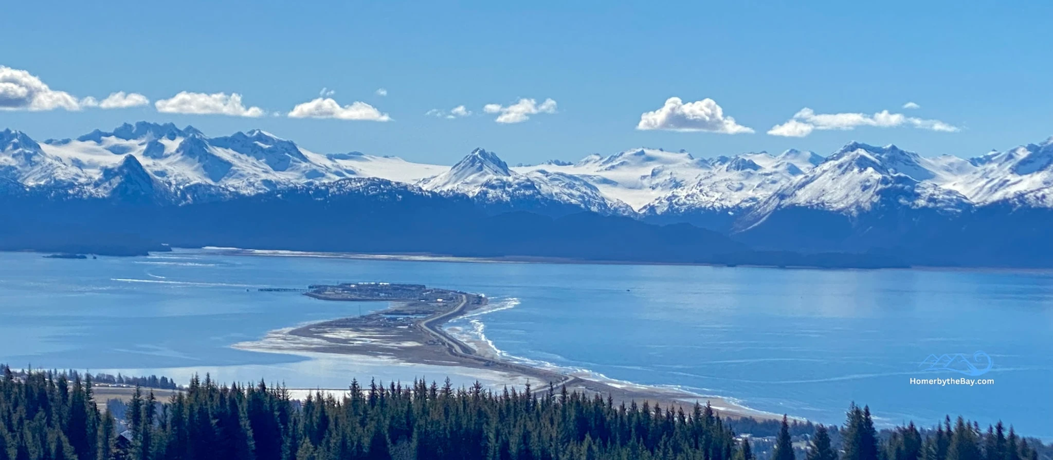 Stay & Explore Homer Alaska: From Anchor Point to Fritz Creek